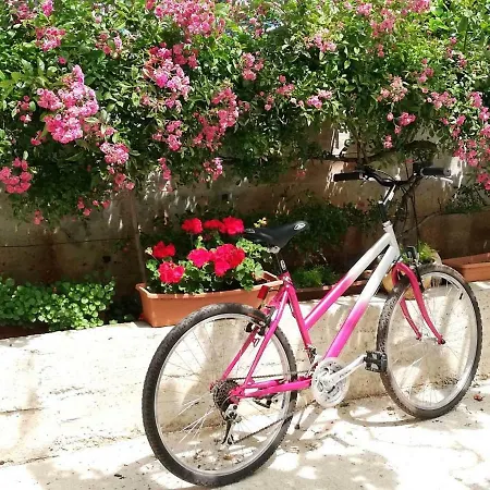 K&d Apartamento Pula